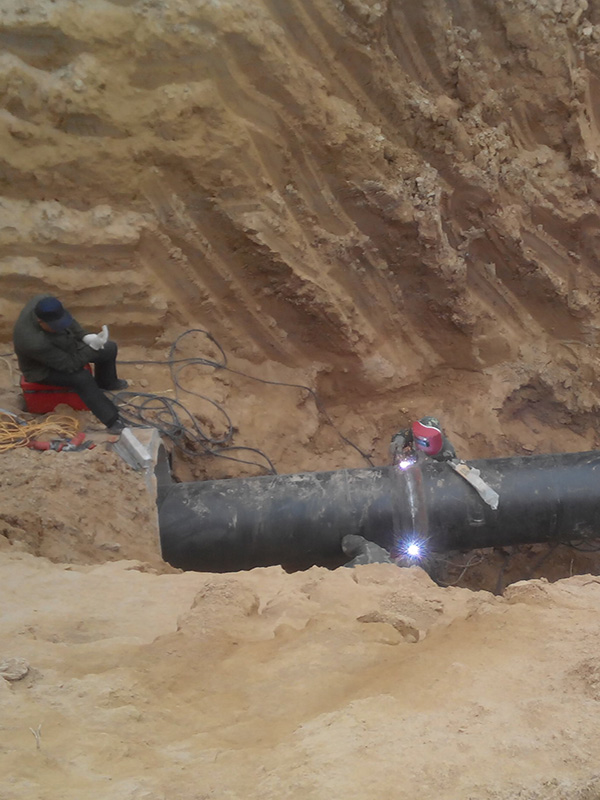 日皮大全免费 日皮大全免费