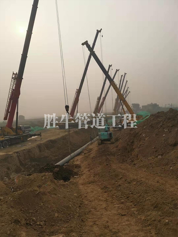 日皮大全免费 日皮大全免费