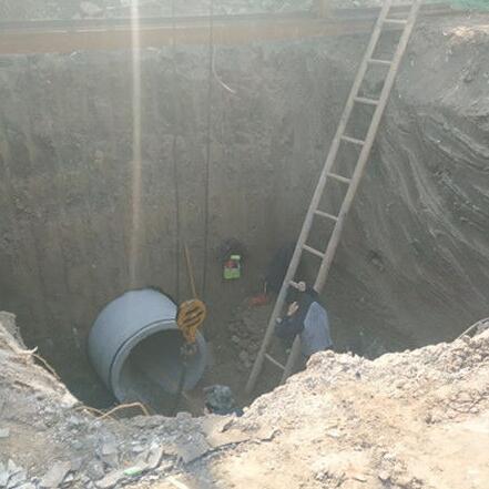 日皮大全免费 日皮大全免费