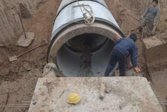 日皮视频软件 日皮视频软件