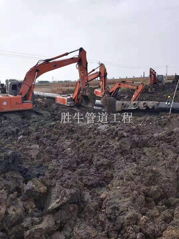 1751954597154696.jpg 1737080567175976.jpg